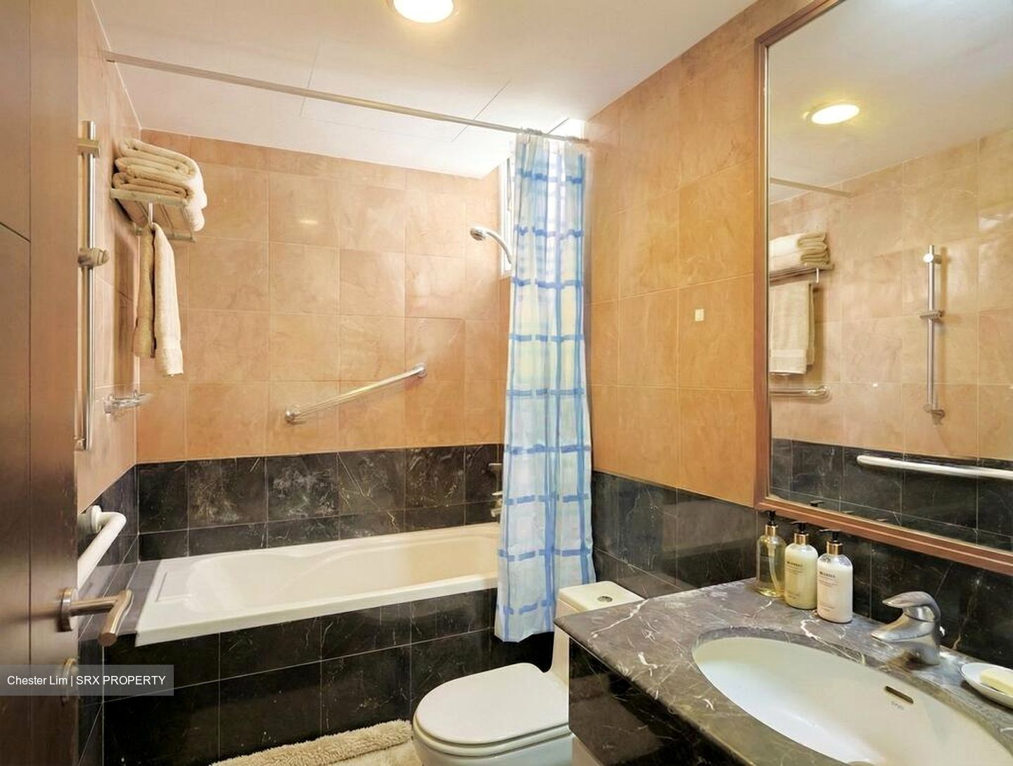 Alessandrea (D3), Apartment #523687741